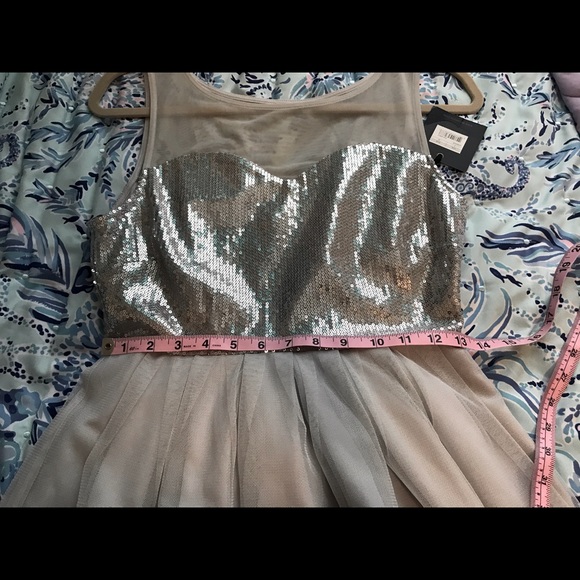 BB Dakota Silver Grey Sequins Mesh Dress - Picture 12 of 16